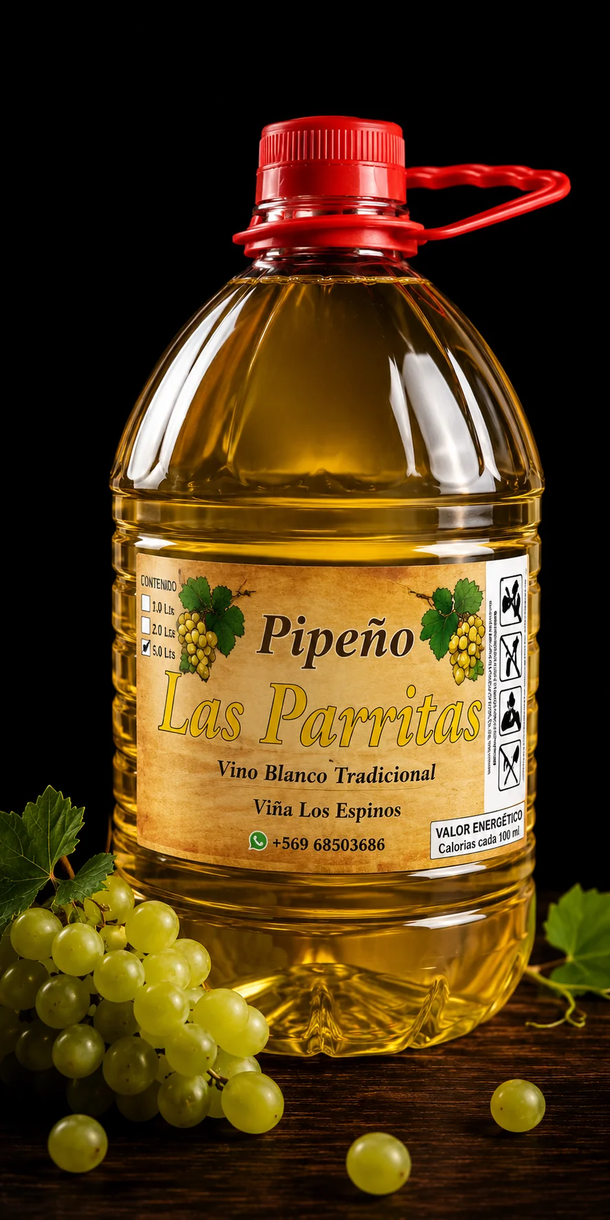 Pipeño Viña Las Parritas en bidón